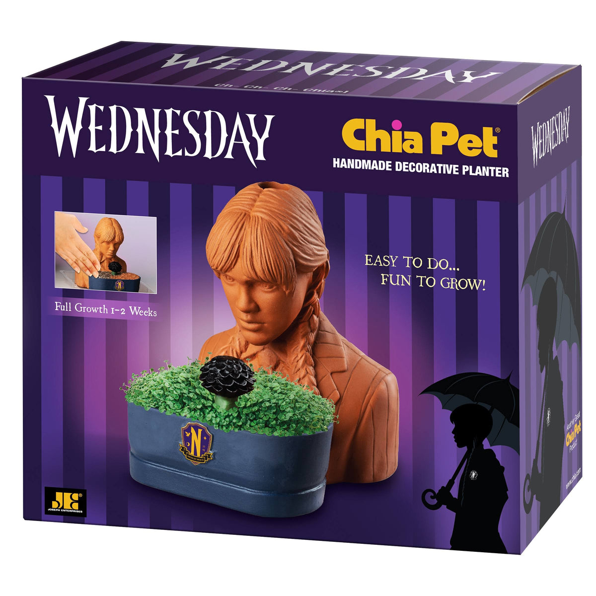 Chia Pet Planter - Wednesday