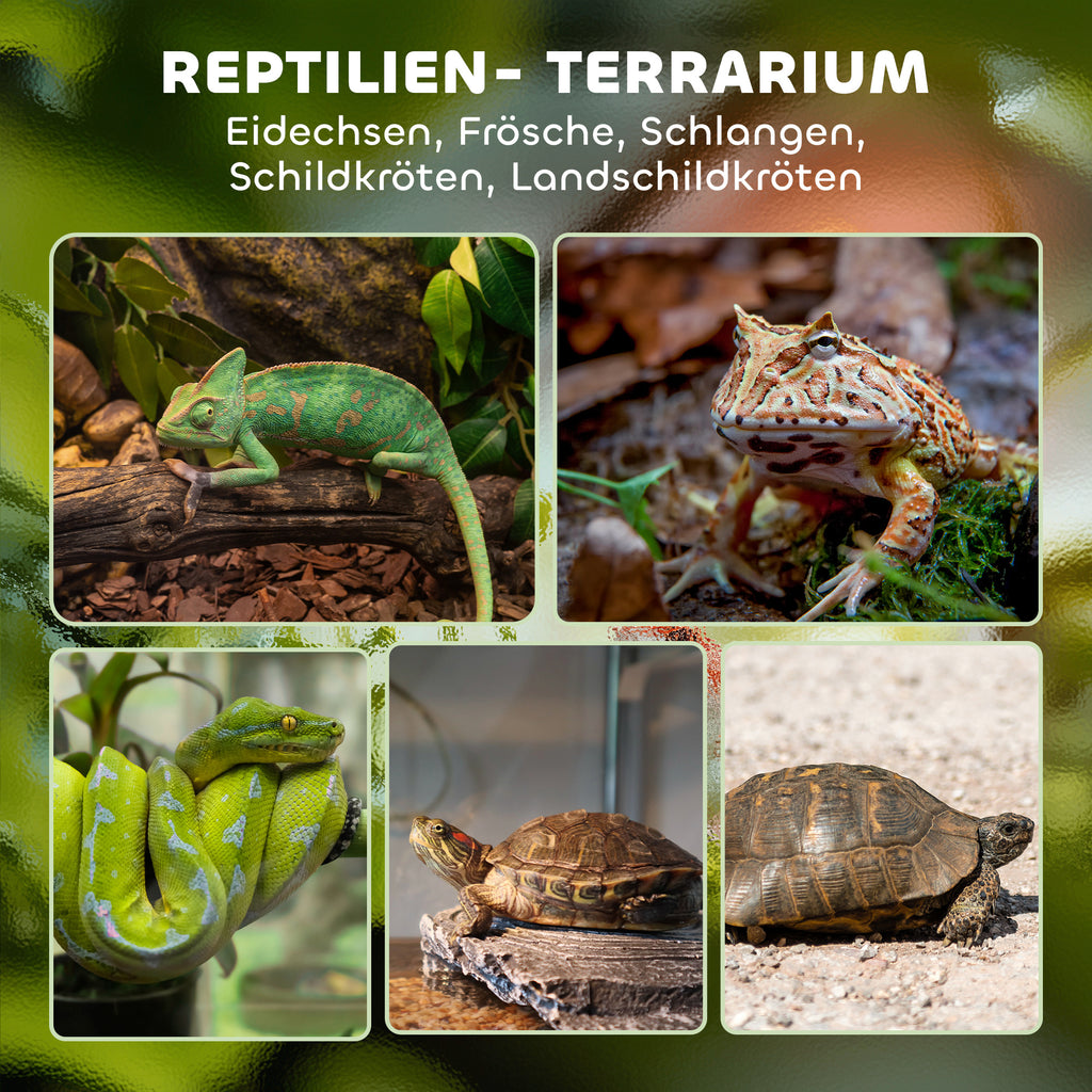 PawHut Glas-Terrarium für Reptilien, erhöhter & wasserdichter Boden, Knopfschloss