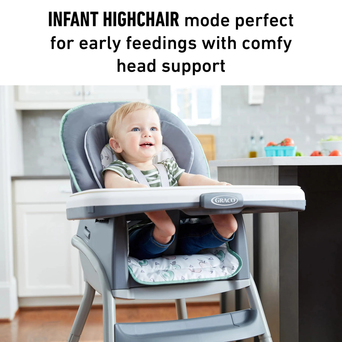 Graco? Table2Table? LX 6-in-1 Highchair