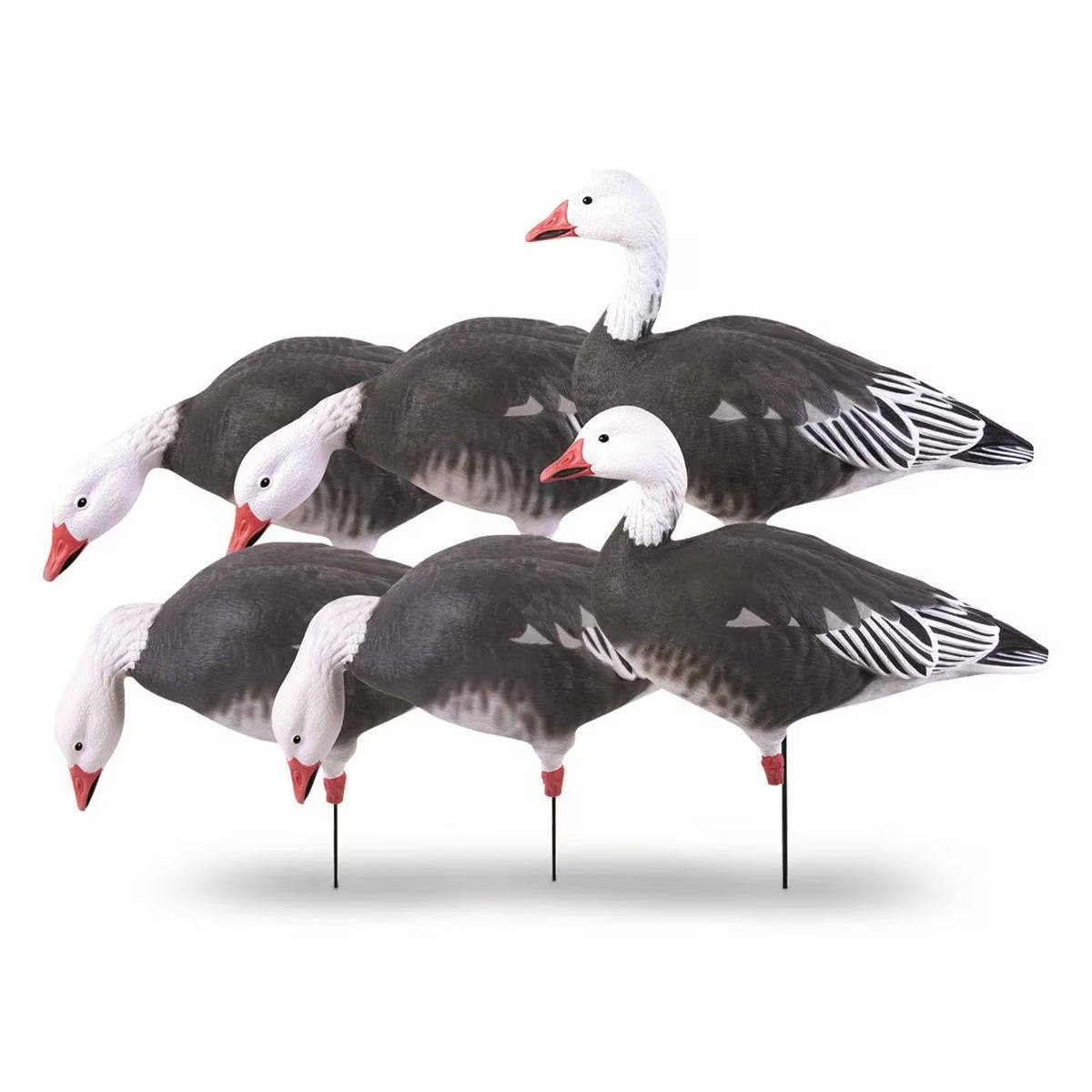 GHG Decoy Systems Pro - Grade Full Body Blue Goose Harvester Pack, Decoy 6 Pack