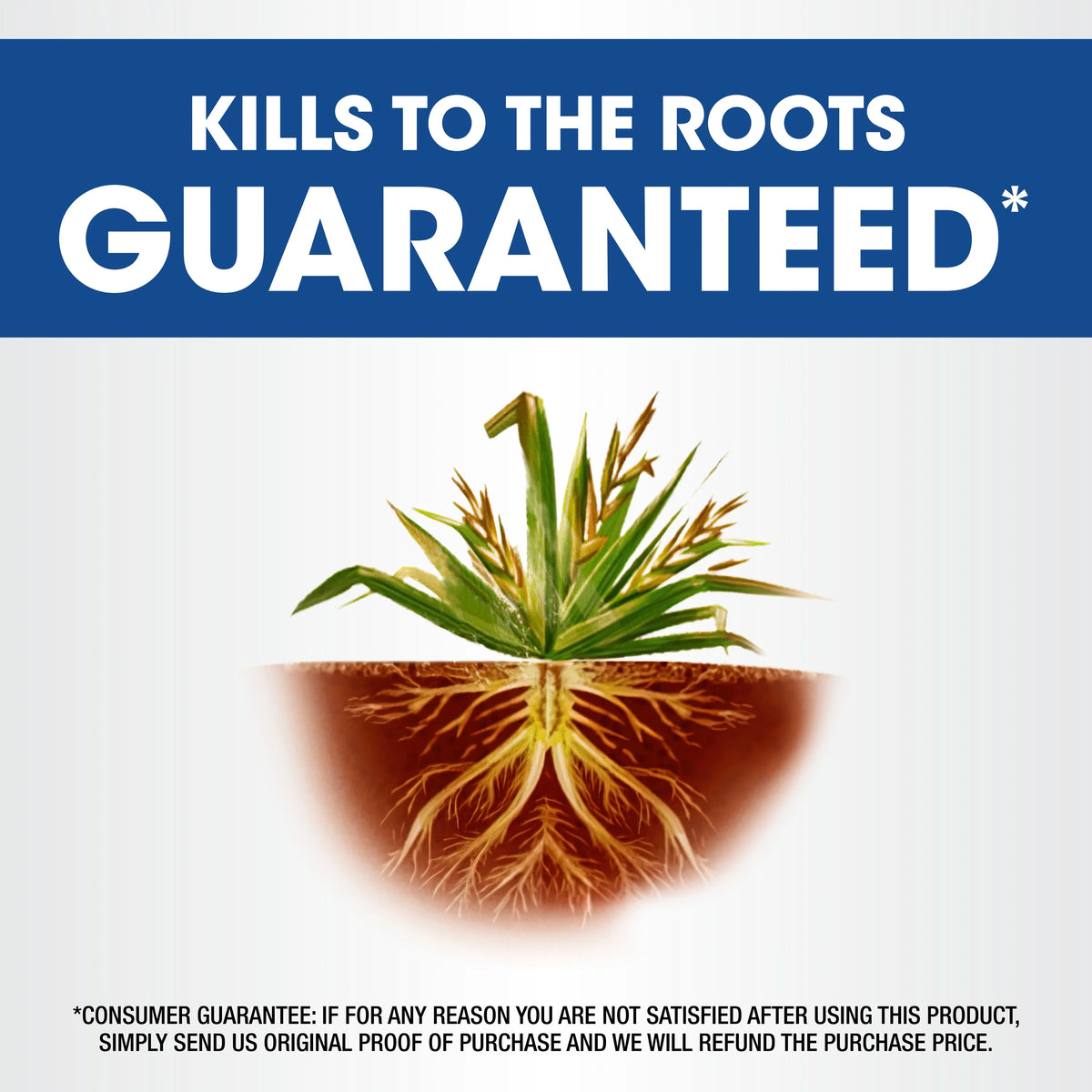 Roundup Weed & Grass Killer? Concentrate, Use in Flower Beds and Other Areas of Your Yard, 1 Gal