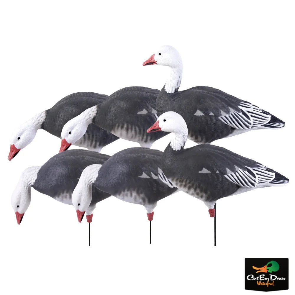 GHG Decoy Systems Pro - Grade Full Body Blue Goose Harvester Pack, Decoy 6 Pack