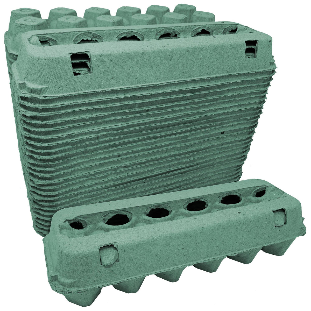 Cackle Hatchery Vented Paper Pulp Egg Cartons - Teal (24)