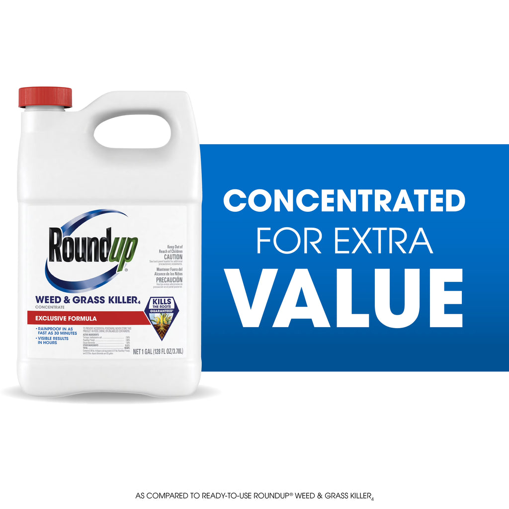 Roundup Weed & Grass Killer? Concentrate, Use in Flower Beds and Other Areas of Your Yard, 1 Gal