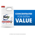 Roundup Weed & Grass Killer? Concentrate, Use in Flower Beds and Other Areas of Your Yard, 1 Gal