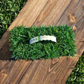 SodPods Zoysia Grass Plugs (64-Count) Natural, Affordable Lawn Improvement