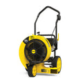Champion Power Equipment 200947 160 MPH 1300 CFM 224 CC Walk-Behind GAS Leaf Blower with Swivel Front Wheel and 90-Degree Flow Diverter
