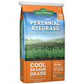 Groundwork Perennial Ryegrass 50 lb. 201AX0004UC-50